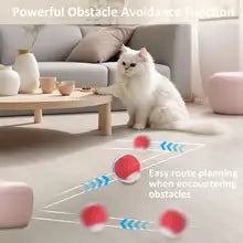 Cat Interactive Ball Toy USB Rechargeable Smart Pet Dog Cat Toy Automatic Training Rolling Ball for Cat dog toy