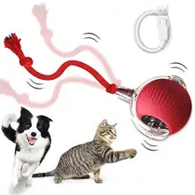 Cat Interactive Ball Toy USB Rechargeable Smart Pet Dog Cat Toy Automatic Training Rolling Ball for Cat dog toy