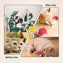 Cat Interactive Ball Toy USB Rechargeable Smart Pet Dog Cat Toy Automatic Training Rolling Ball for Cat dog toy